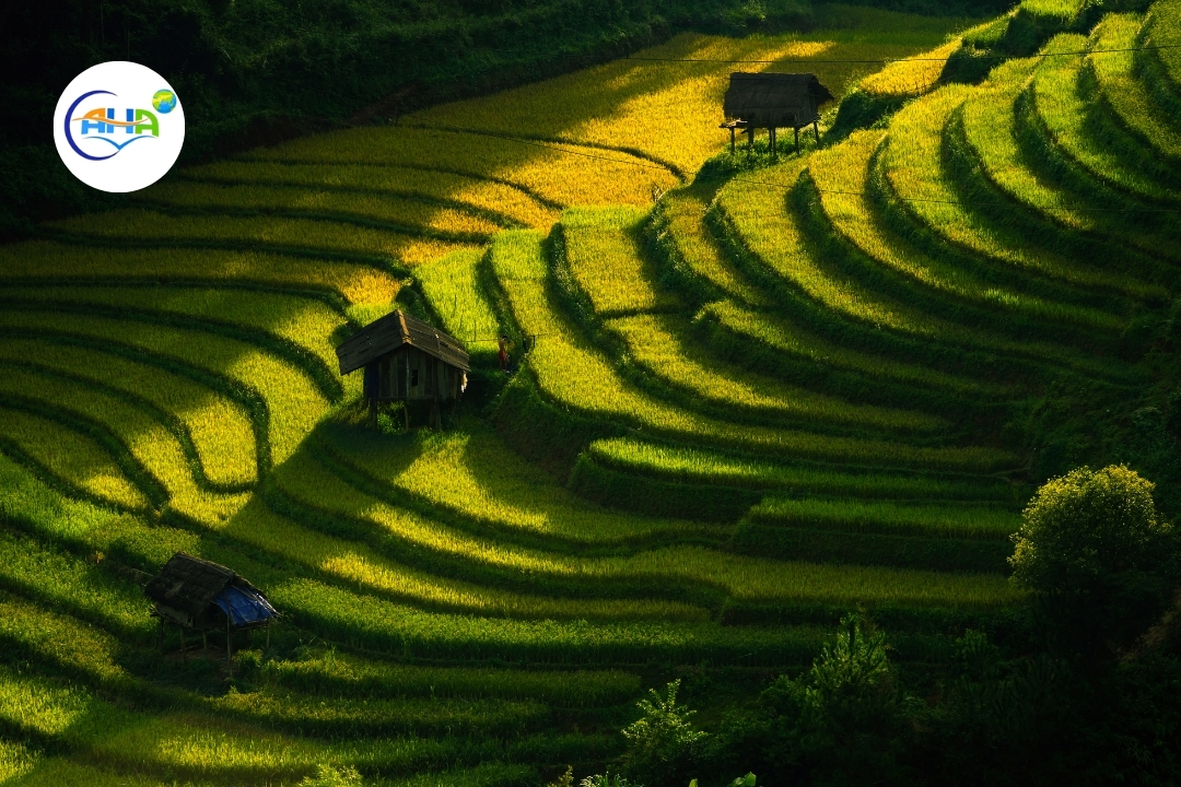 Du Lịch Việt Nam du-lich-viet-nam