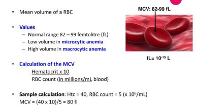 Chỉ số mcv trong xét nghiệm máu là gì