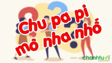 Chu pa pi nha nhô nghĩa là gì
