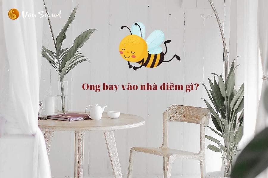 Con ong bay vào nhà là điềm gì