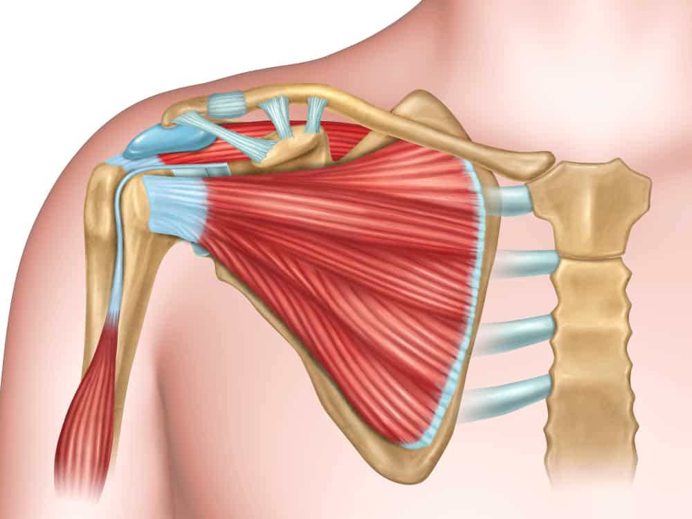 đau nhói ở giữa ngực là bệnh gì