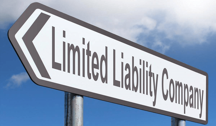 Exempt private company limited by shares là gì