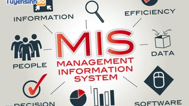 Hệ thống quản lý thông tin là gì
