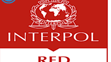 Lệnh truy nã đỏ của interpol là gì