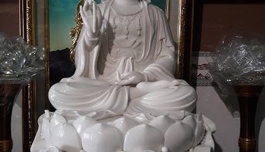 Phật bà quan âm độ mạng nghĩa là gì