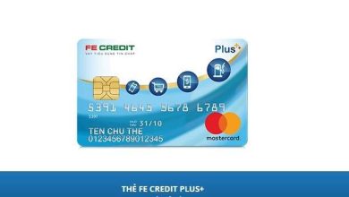 Thẻ tín dụng fe credit plus là gì