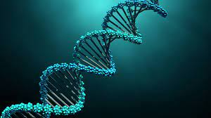 Tính thoái hóa của mã di truyền là gì